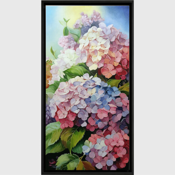 HORTENSIAS